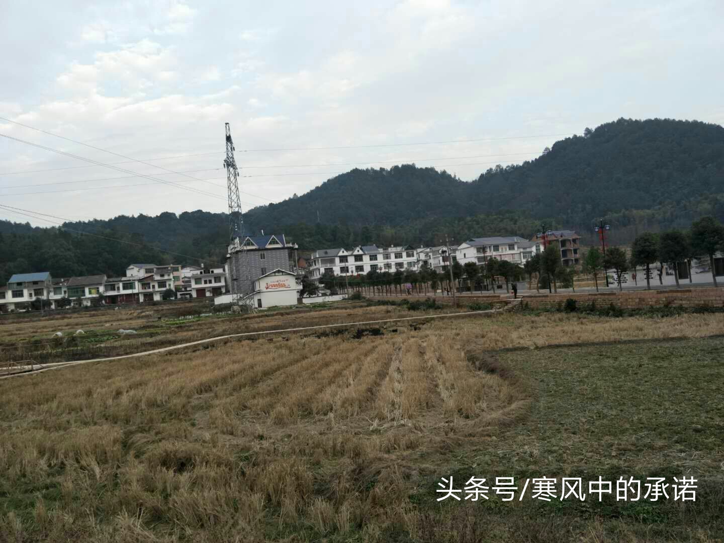 铅山是文化大县,江西铅山家乡文化