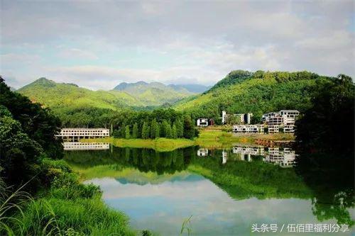 福州最便宜性价比最高的温泉,福州真正的温泉在哪里