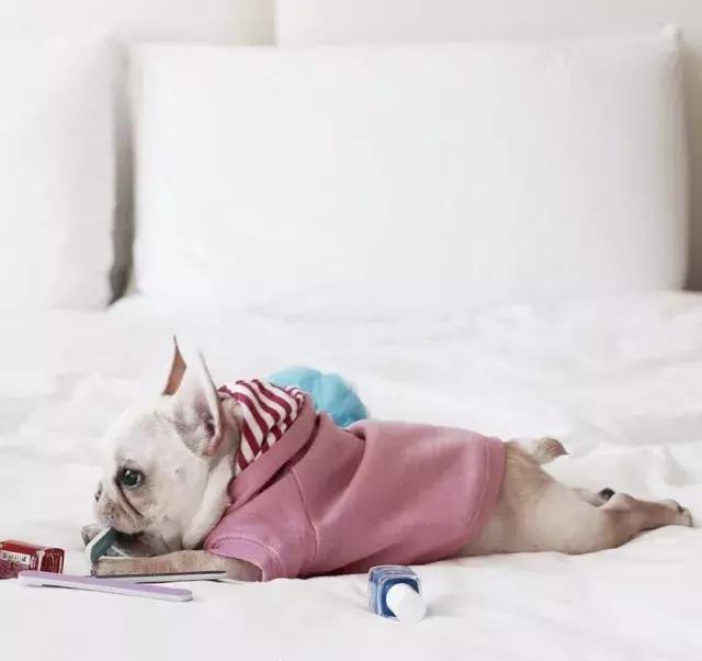 牛牛的睡姿,牛牛侧身睡觉好不好