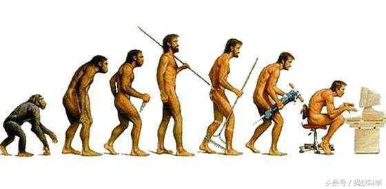 达尔文生物进化论视频,达尔文进化论无法解释