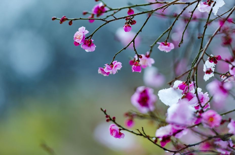 诗词喝火令词牌,诗词喝火令