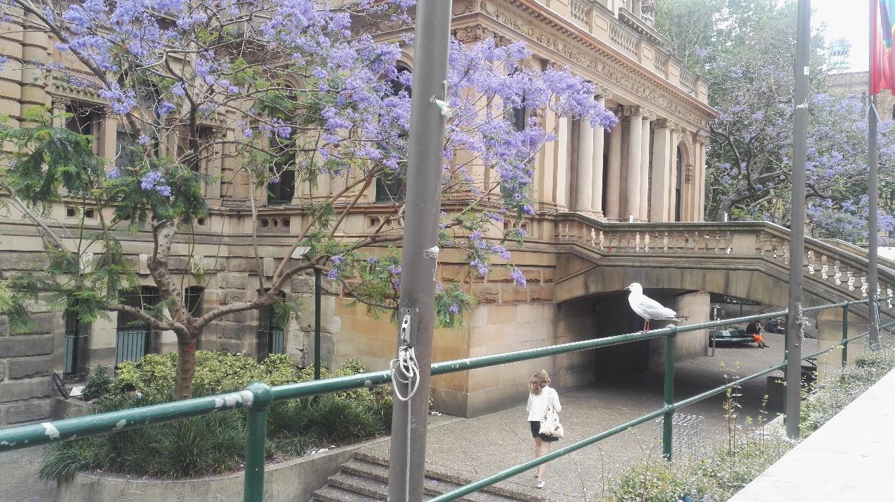 澳洲值得购买的保健品,澳洲比较好的保健品