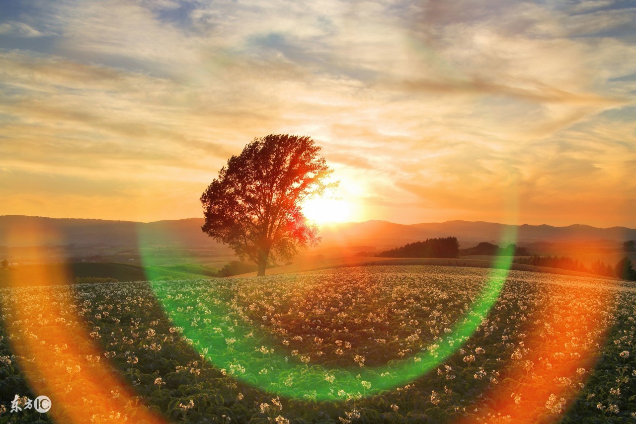 18种医疗器械获证通知,19类医疗器械有哪些