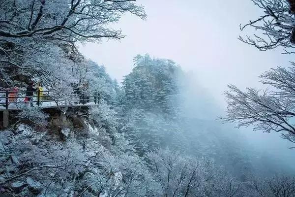 郑州周边好玩的地方推荐冬季,郑州周末去哪里玩不带孩子