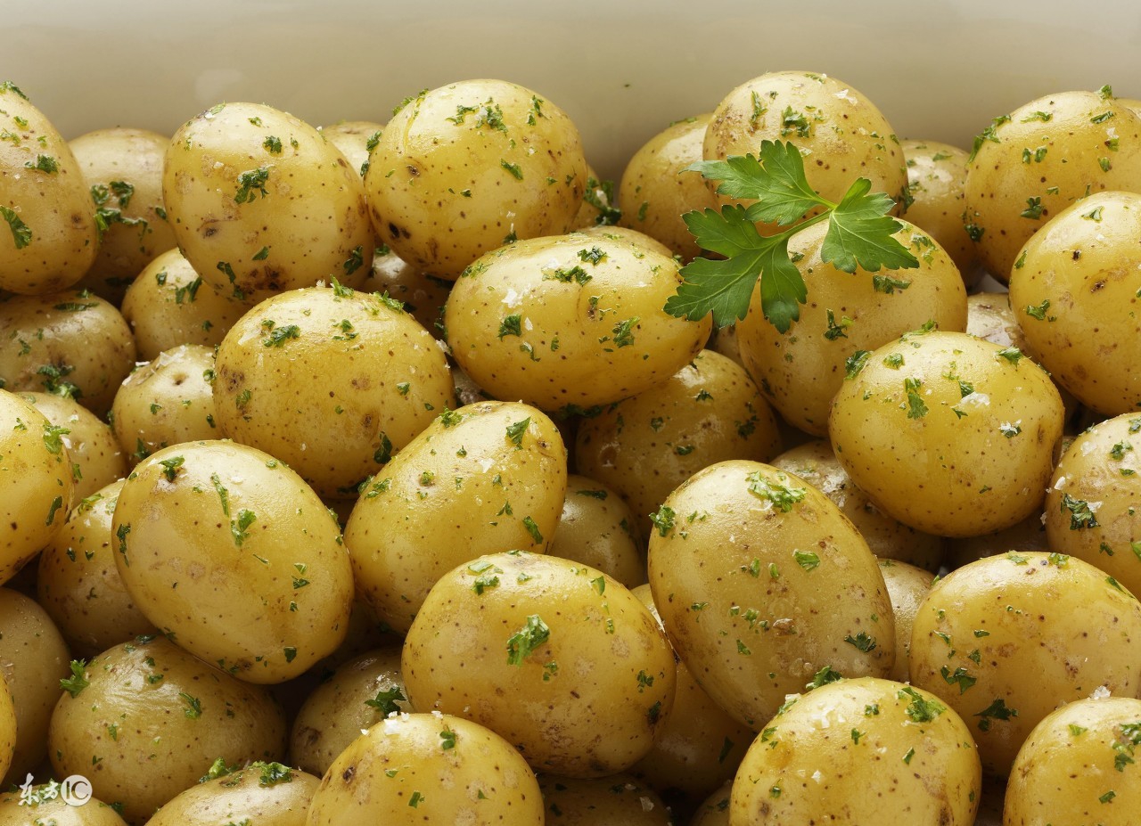 土豆所有人都吃吗,土豆真的好吃吗