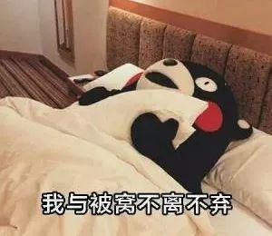 泰国纯天然乳胶床上用品,泰国乳胶床垫床上用品