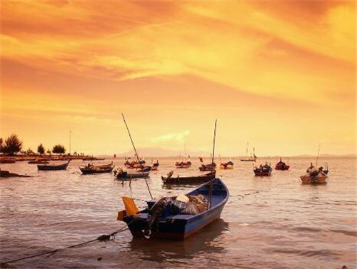 马来西亚大学留学靠谱吗,马来西亚留学游玩攻略大全