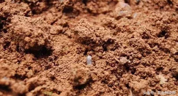 土壤墒情怎么检测的,学农学有关植物资料怎么找