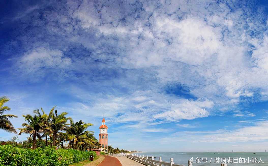 候鸟过冬需要注意什么,今年冬天去海南旅游有什么讲究