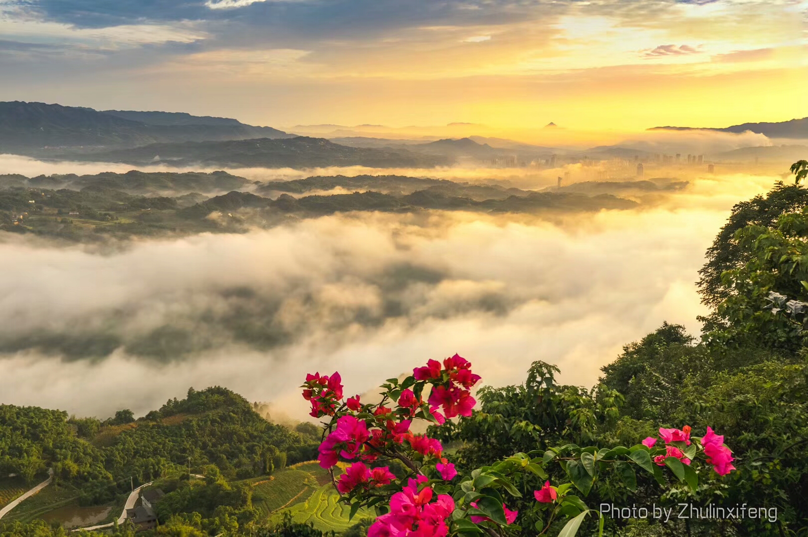《旅游故事汇四》喜欢上了一位女导游，该怎么办？
