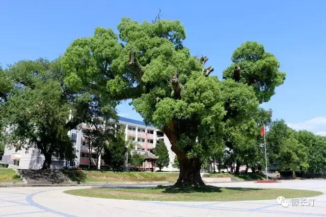 福建数学奥赛2020获奖名单,2018年福建省信息学奥赛成绩