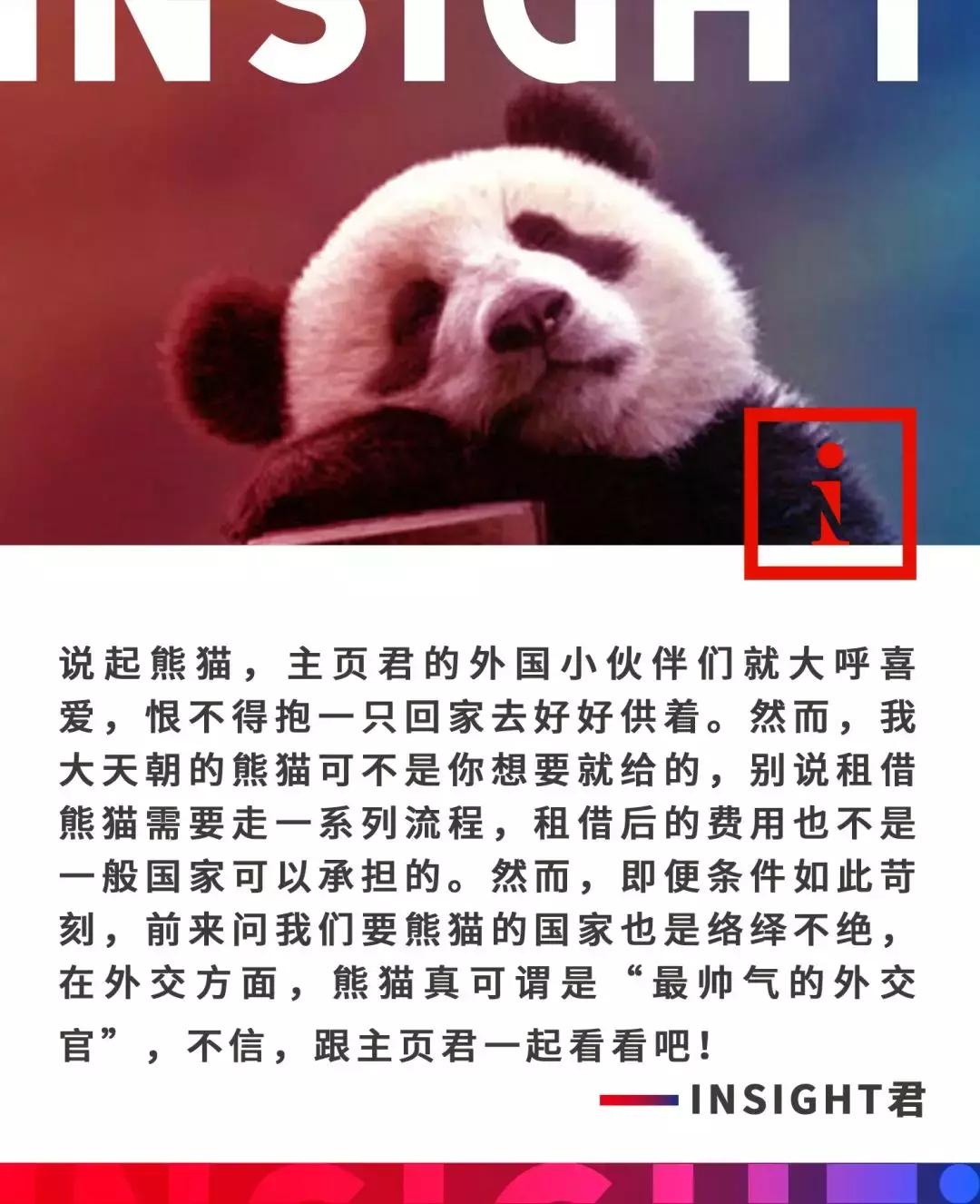 我国国宝大熊猫被外国租借有多难,日本大熊猫悲惨生活