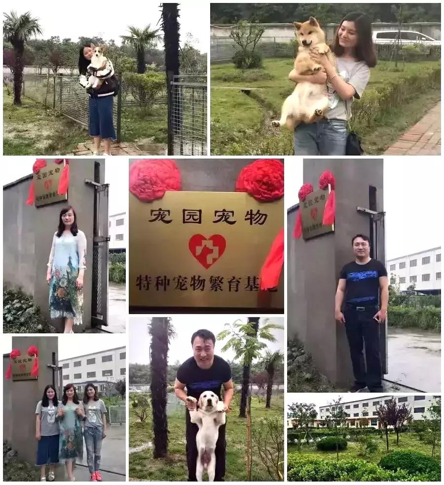 老徐会客厅：于祥：志存高远未来可期扬州企业家公益联盟发起人