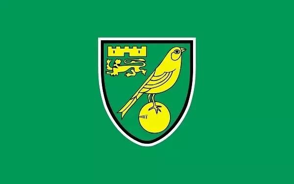 海鸥老鹰大雁,海鸥老鹰孔雀