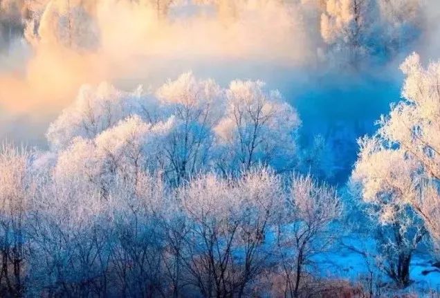 寒气席卷、叶汽成霜……陕西6处大美雾凇奇景上线！