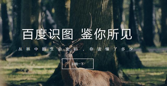 你真的会用“百度”吗？