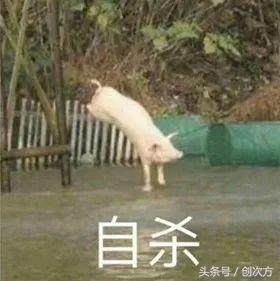 手机裸眼3d效果视频,手机可以裸眼看3d电影了吗