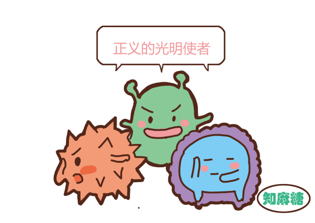 男生不要看女生温馨小贴士,男生勿看女生