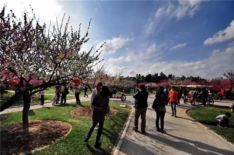 上海星级公园名单火热出炉,上海有什么5a级公园