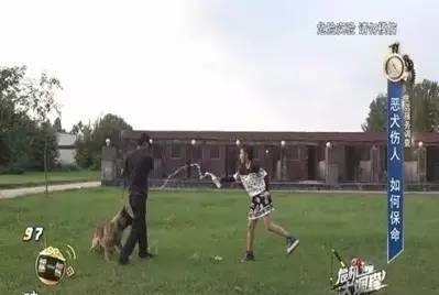 男童遭2恶犬轮番撕咬全身40处受伤,孩子被恶犬撕咬惨遭身亡