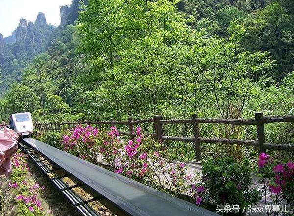张家界峨眉山旅游路线,张家界旅游路线设计方案