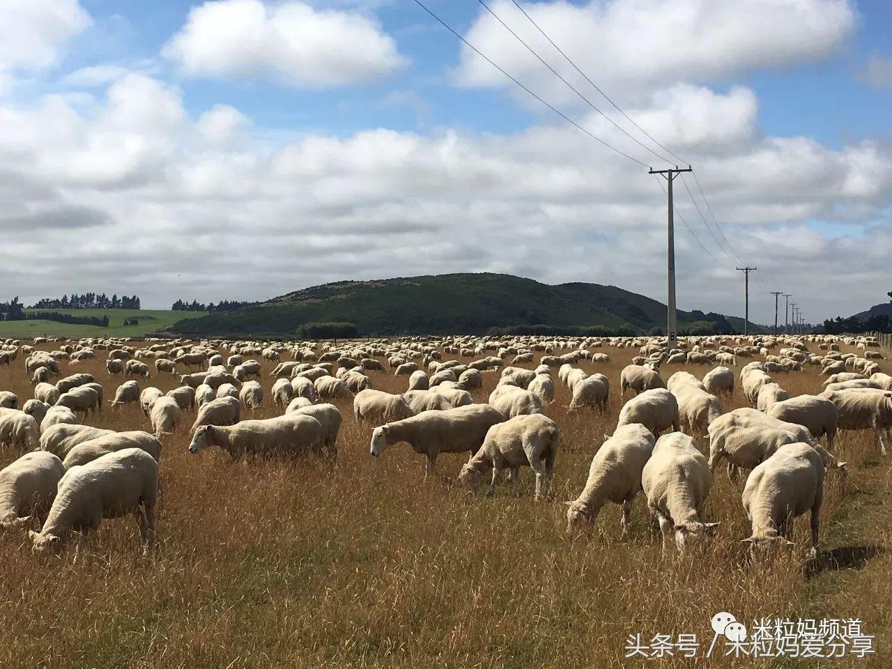 亲子游出境自由行,亲子游建议去的十个城市