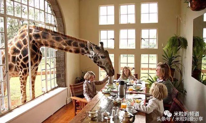 亲子游出境自由行,亲子游建议去的十个城市