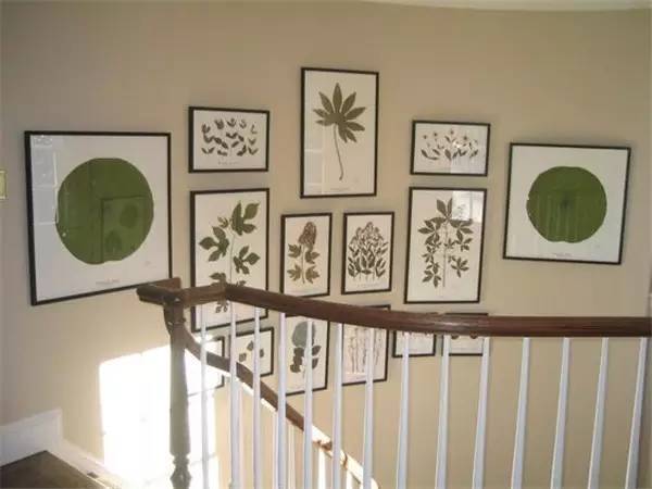 自己在家怎么做植物标本 (秋天如何做植物标本)