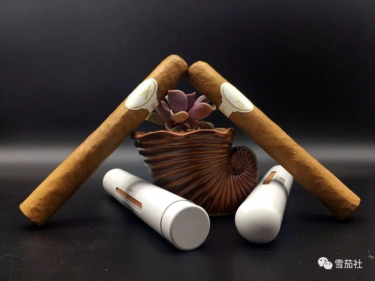 抽雪茄如何避免头晕恶心,抽雪茄晕吐怎么解决