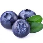 进口水果,现在的进口水果有哪些