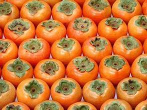 能保护眼睛的蔬果有哪些,保护眼睛的蔬菜