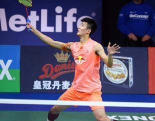 羽毛球赛事公开赛,2023体育大型赛事