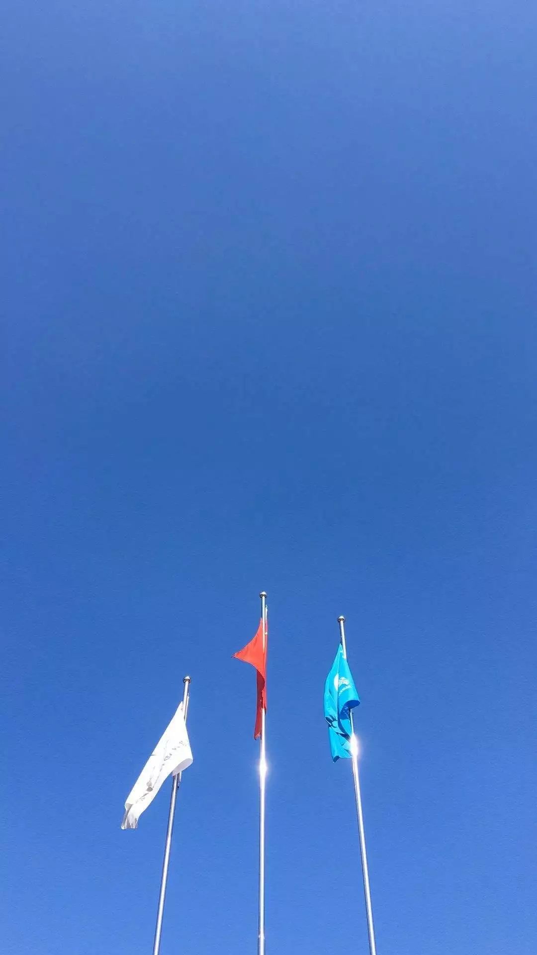 选一款吧！从此攀大就掌握在你手里了！