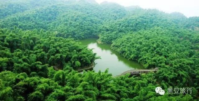 今年五一不出门宅在家里,五一不宅家悦游好时节