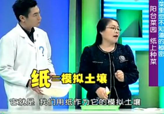 出来的五个种菜实用小技巧,纸上种菜可以种向日葵吗