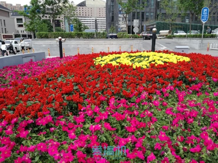 华为g9青春版和荣耀一样,华为g9青春版高通骁龙617