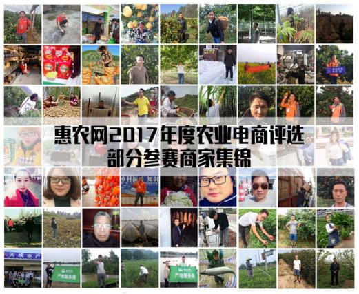 惠农网商业模式,惠农网的发展