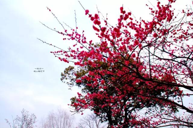 姹変腑鍧愰珮閾佺帺鐨勫ソ鍘诲,鍘绘眽涓帺濂借繕鏄幓骞垮厓鐜╁ソ