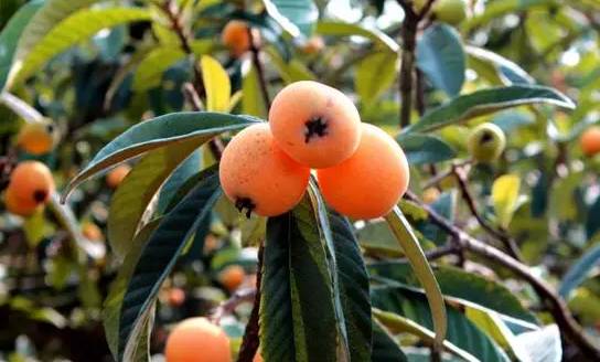 姹変腑鍧愰珮閾佺帺鐨勫ソ鍘诲,鍘绘眽涓帺濂借繕鏄幓骞垮厓鐜╁ソ