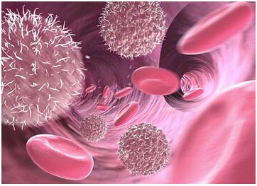 脐带干细胞可以治肝癌吗,脐带间充质干细胞治疗心脏效果