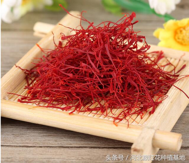 藏红花种球哪里购买,买藏红花要关注什么