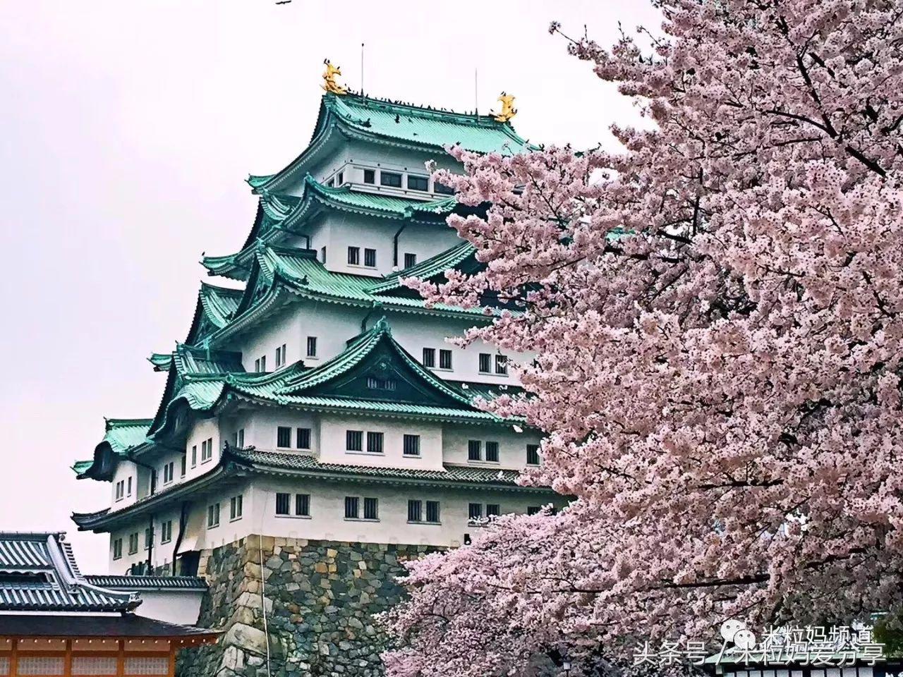 亲子游出境自由行,亲子游建议去的十个城市