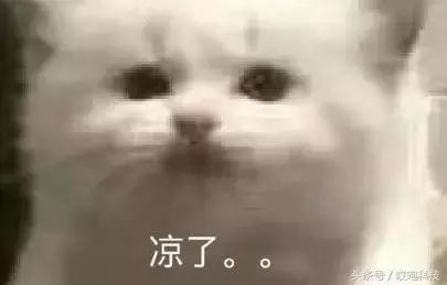 ios漏洞为什么要90天才修复,ios被别人id锁了