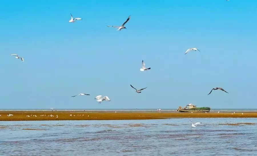 南京最富裕最有钱的是哪个区,江苏最有钱的城市排行