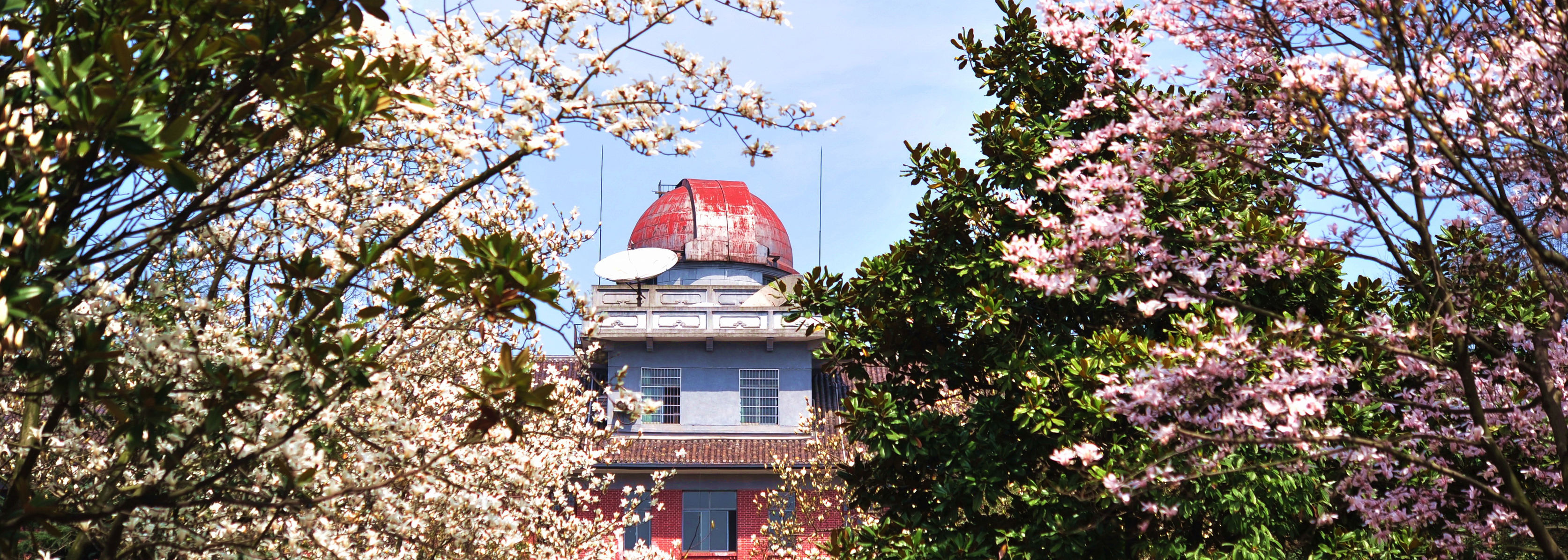 211工程类大学湖南师范大学的毕业生，工作会怎么样？