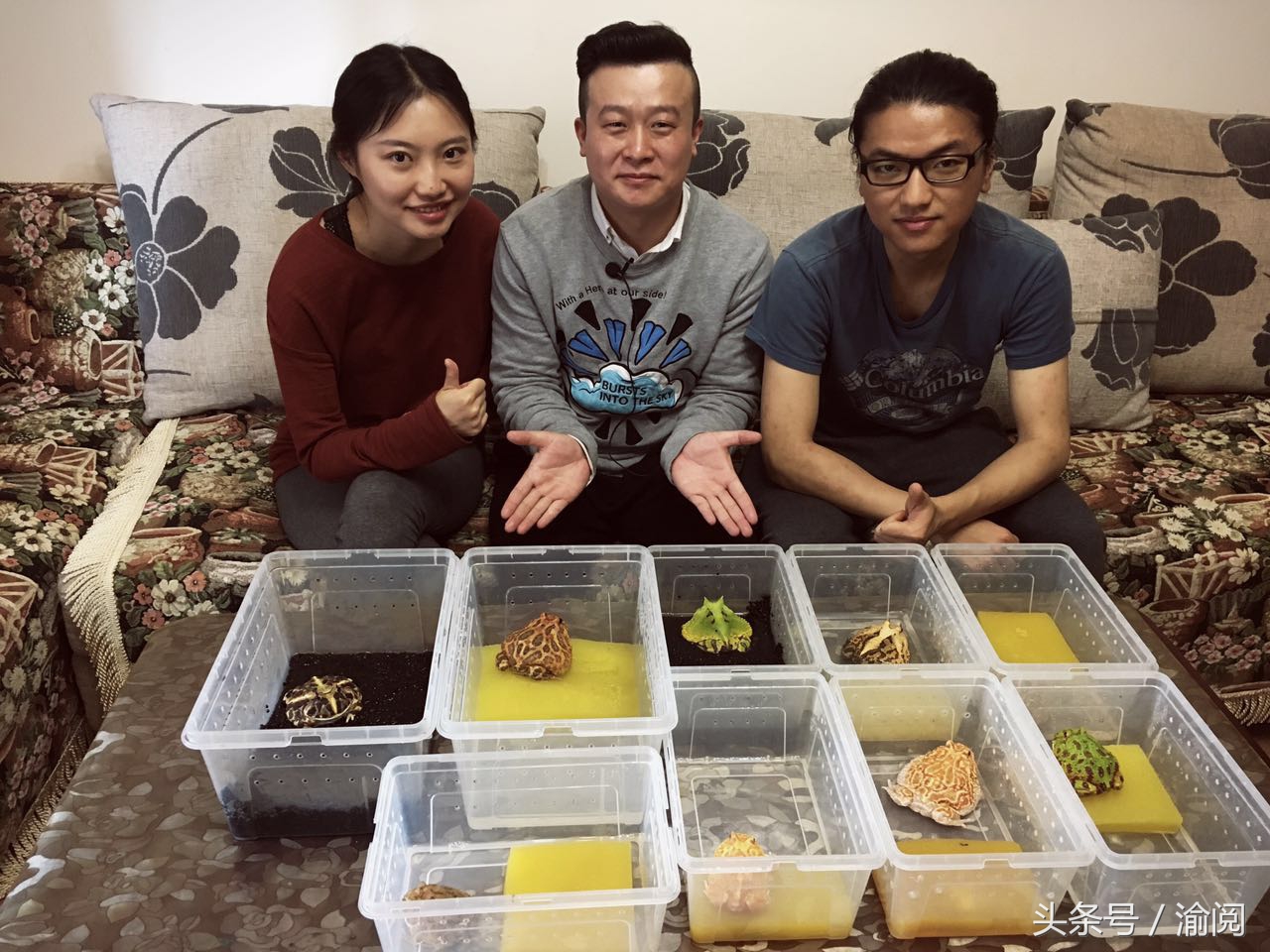 策划｜重庆崽儿养宠物蛙十年花近百万