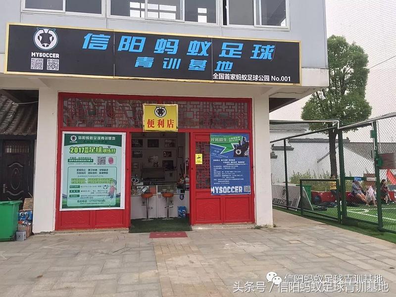 信阳蚂蚁足球直播,信阳蚂蚁足球培训班
