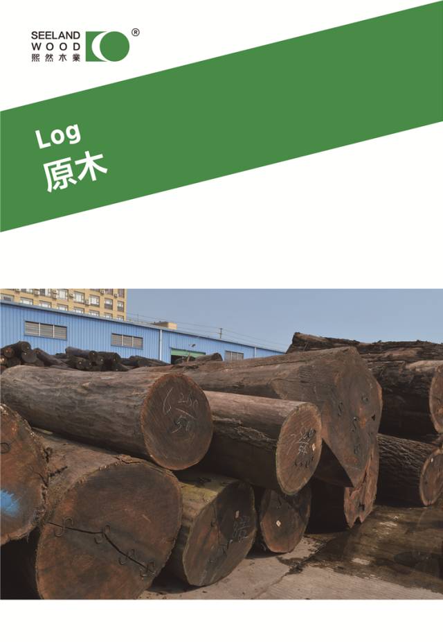 木材种类科普系列,科普九大类木材知识