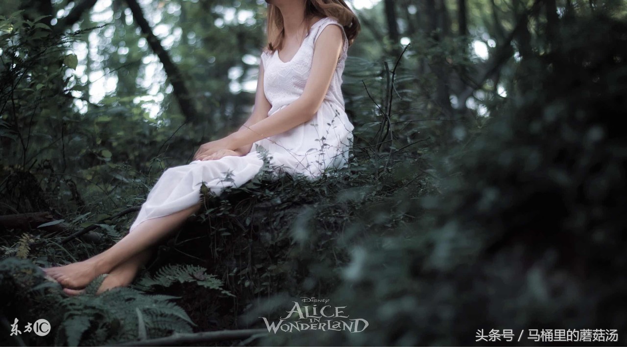 属猪的出生时辰及运势,属猴人出生年月日时辰运势