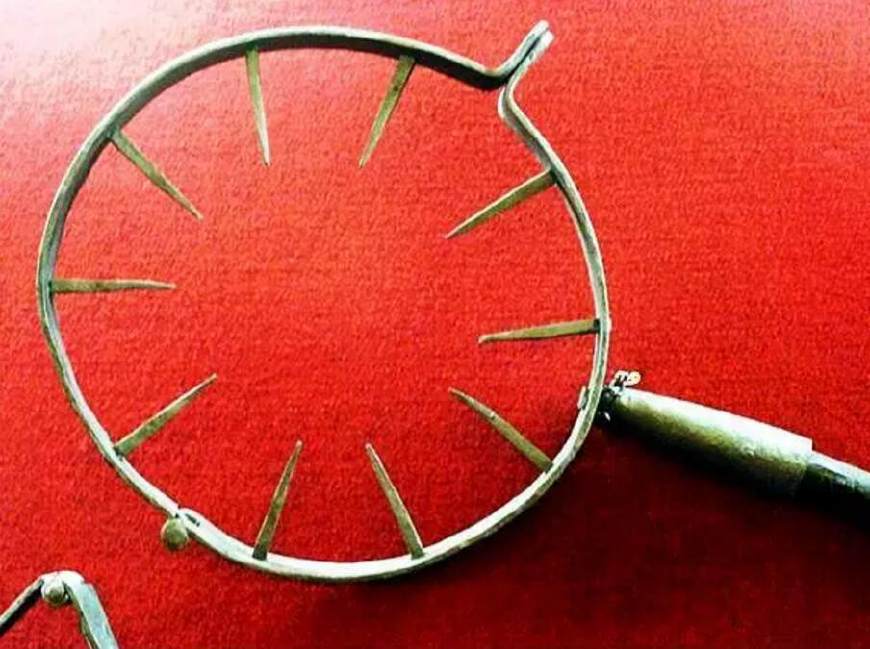 欧洲中世纪残忍酷刑,欧洲的酷刑有哪些